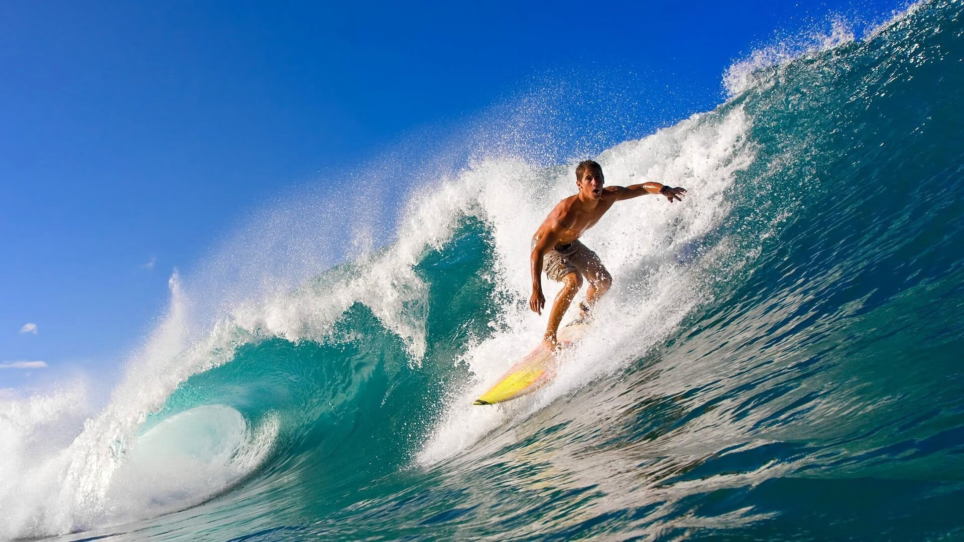 开云体育下载-当东方新锐遇上绿色豪门，杰伦·格林如何主宰深圳与凯尔特人的跨洋之战